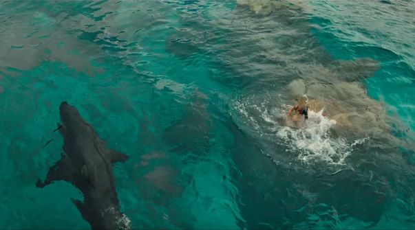 The Shallows Movie Free Download