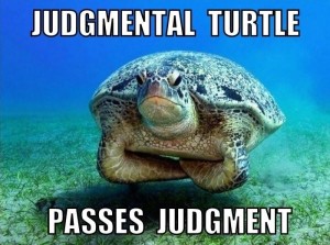turtle meme, judgment meme, comic con judging