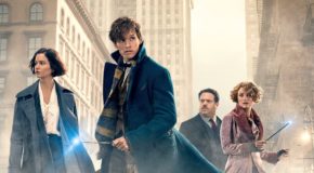 Fantastic Beasts and Where to Find Them vs The Edge of Seventeen