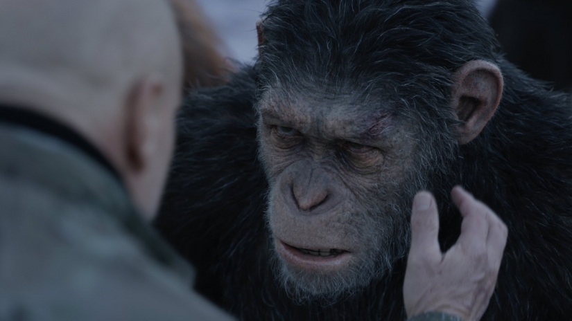 war for the planet of the apes, caesar, planet of the apes, best trilogies